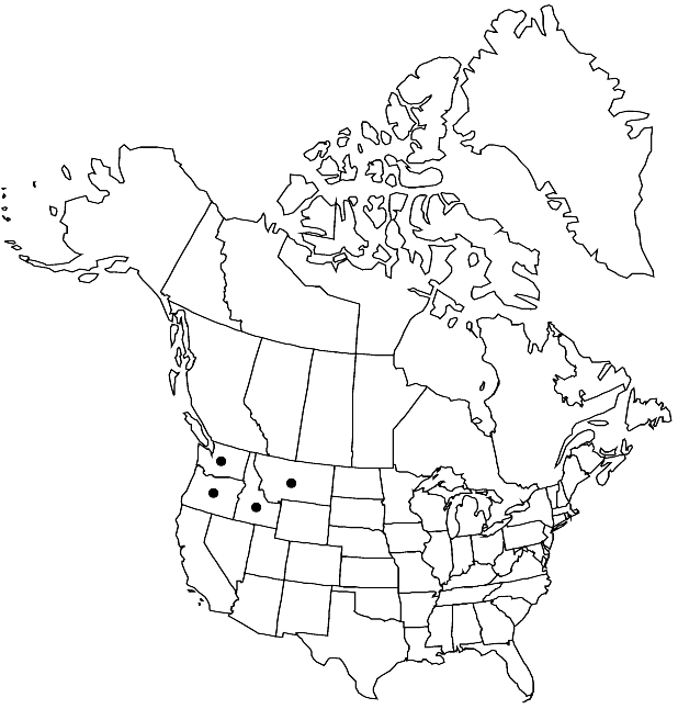 V7 571-distribution-map.gif