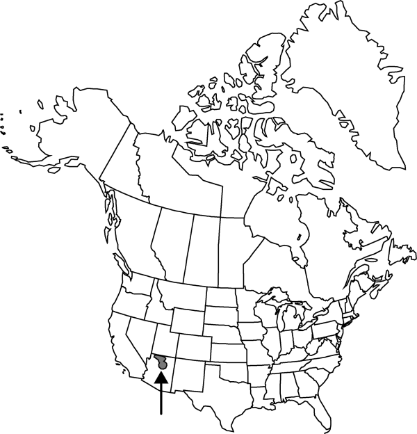 V4 395-distribution-map.gif