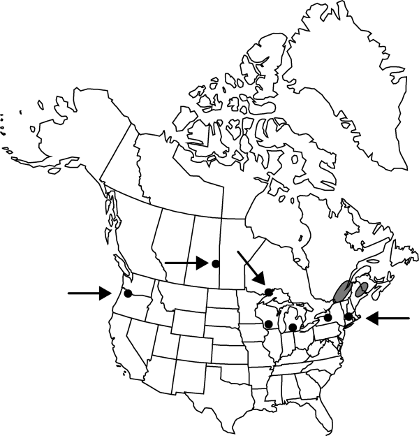 V4 533-distribution-map.gif