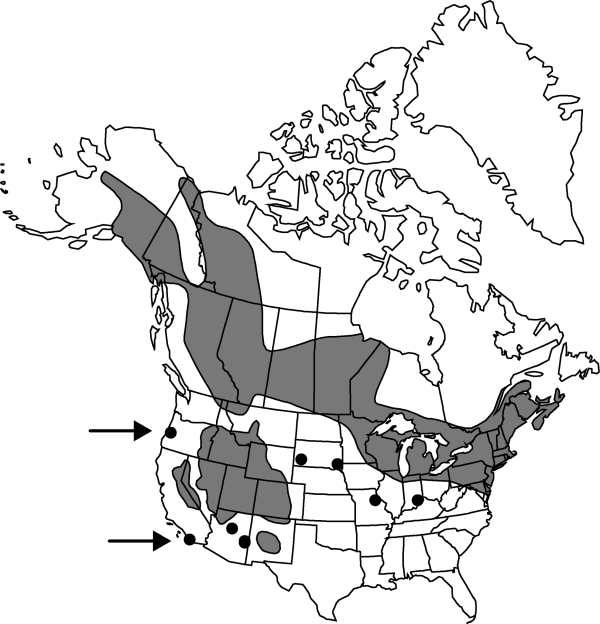 V4 511-distribution-map.gif