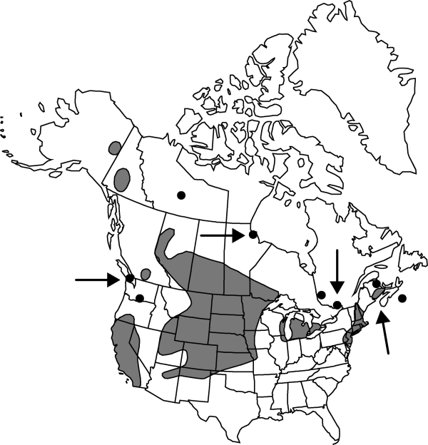 V4 520-distribution-map.gif