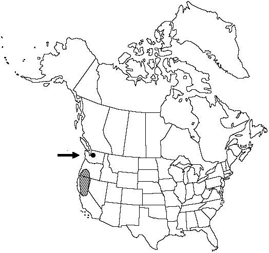 V2 563-distribution-map.gif