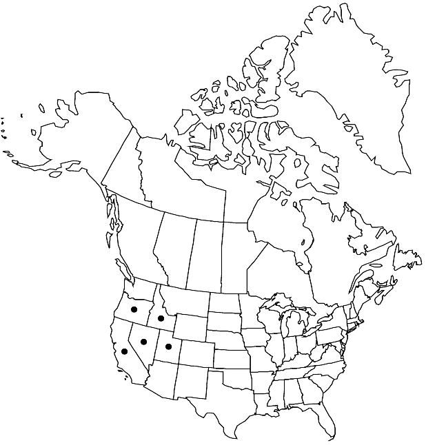 V7 595-distribution-map.gif