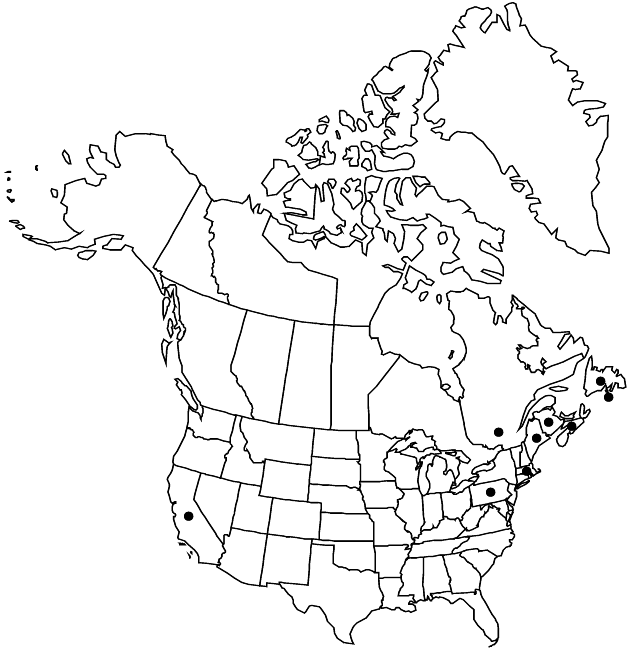 V19-958-distribution-map.gif