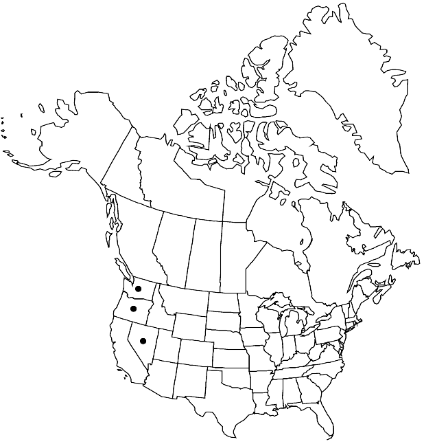 V7 619-distribution-map.gif