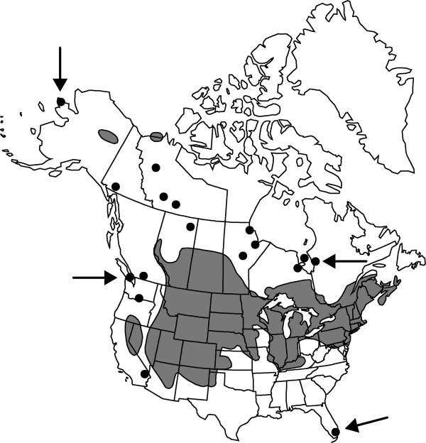 V4 523-distribution-map.gif