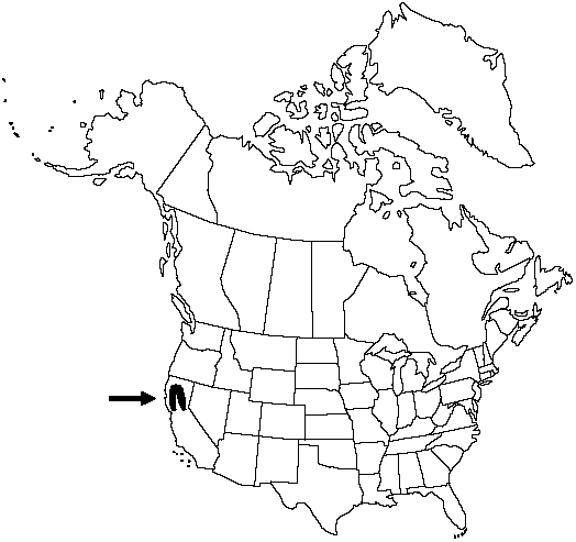 V2 131-distribution-map.gif