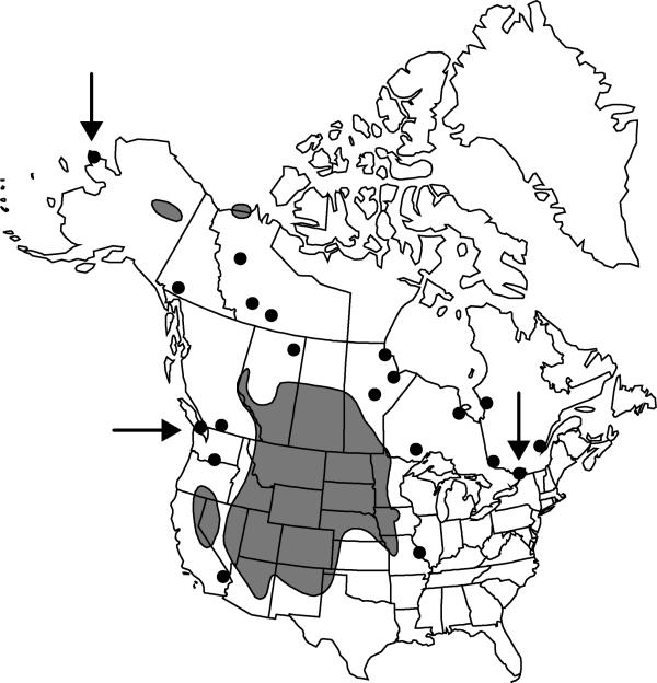 V4 525-distribution-map.gif