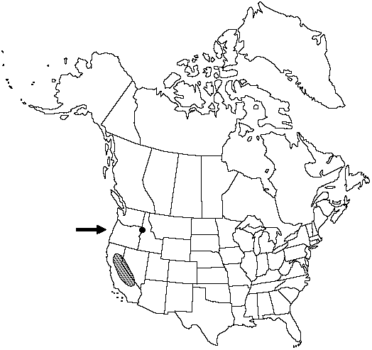 V2 407-distribution-map.gif