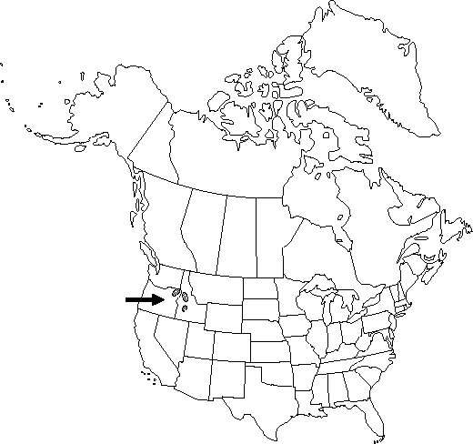 V3 281-distribution-map.gif